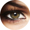 opthalmologist